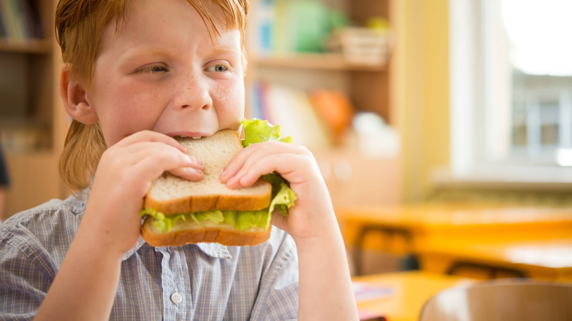 niño en el rato de la merienda tomandose un sandwich vegetal niño en el rato de la merienda tomandose un sandwich vegetal