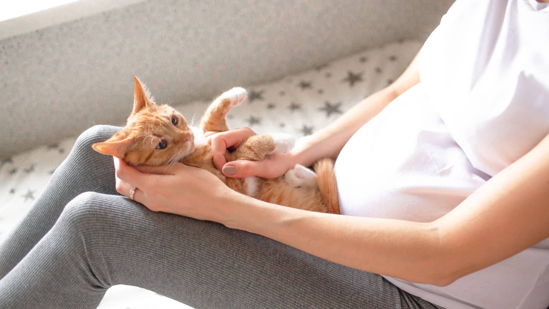 mujer embarazada acariciando a un gato que no tiene toxoplasmosis