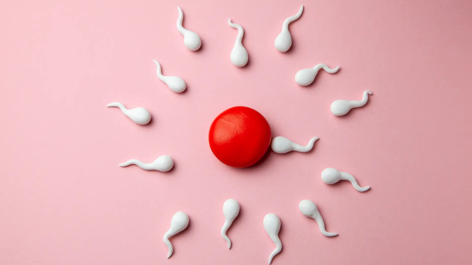 Mujer joven deportista comiendo bien para aumentar su fertilidad de manera natural Mujer joven deportista comiendo bien para aumentar su fertilidad de manera natural