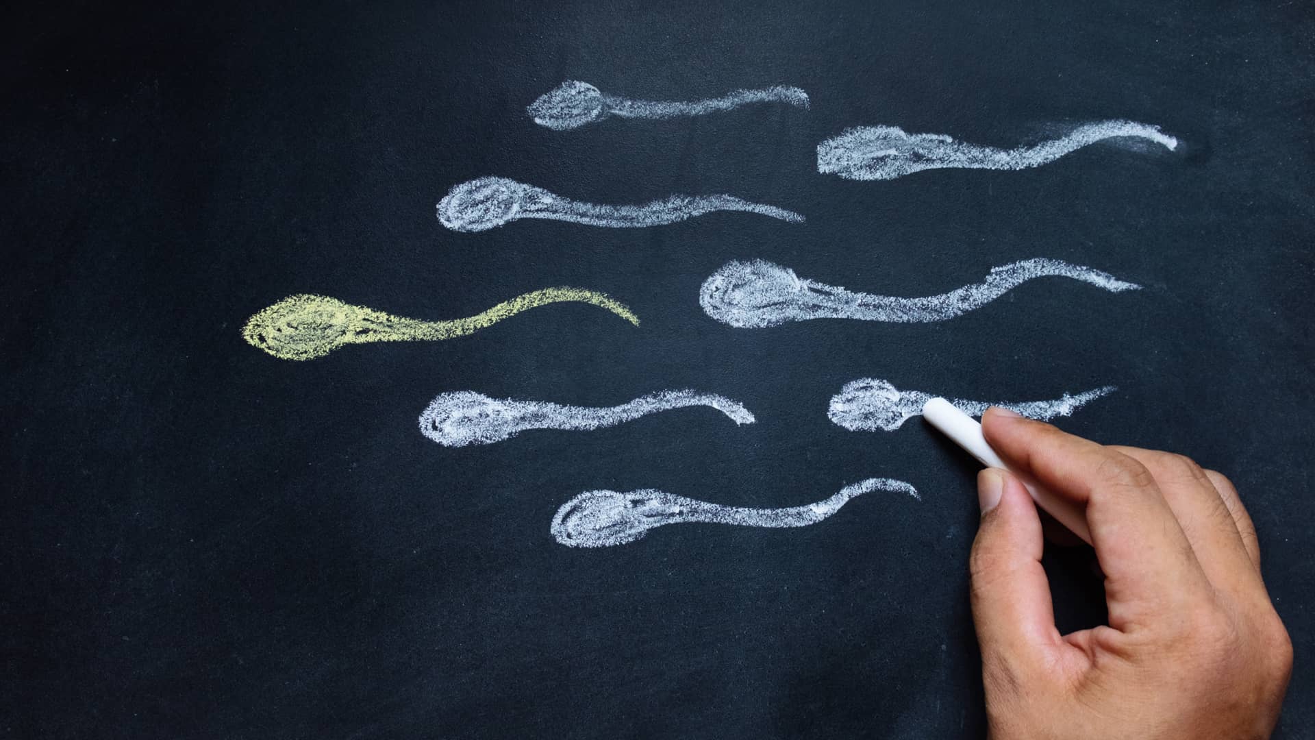 Dibujo de espermatozoides en una pizarra para representar los tratamientos masculinos para gestionar la infertilidad Dibujo de espermatozoides en una pizarra para representar los tratamientos masculinos para gestionar la infertilidad