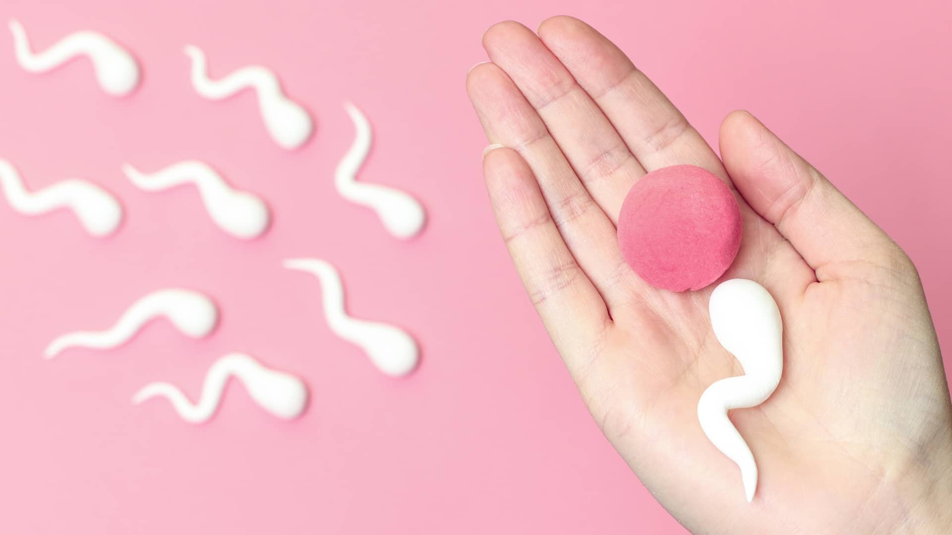 Una mano sujetando unos supuestos ovulo y espermatozoide para representar los requisitos de la inseminación aritificial