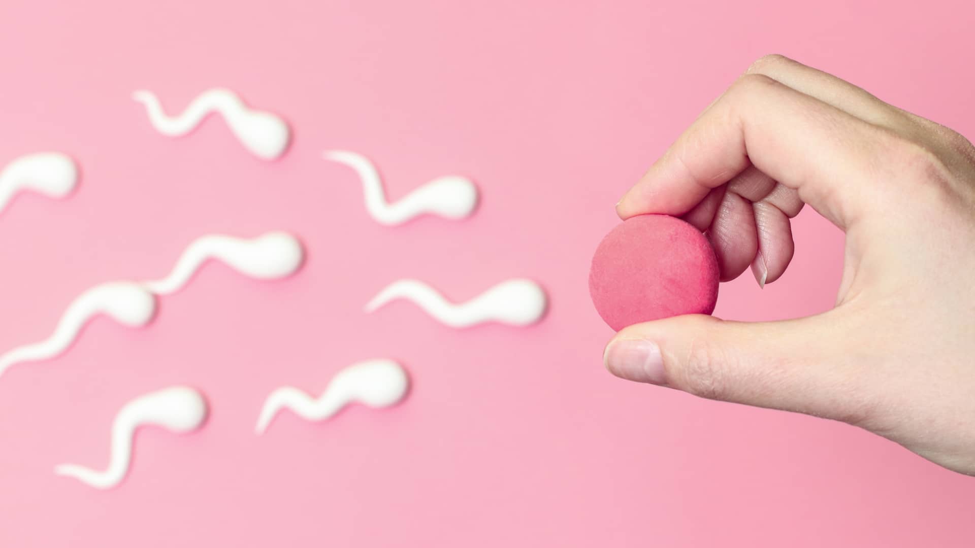 Concepto de la tasa de exito en la inseminación artificial explicado con espermatozoides corriendo hacia un ovulo que esta sinedo sujetado por una mano