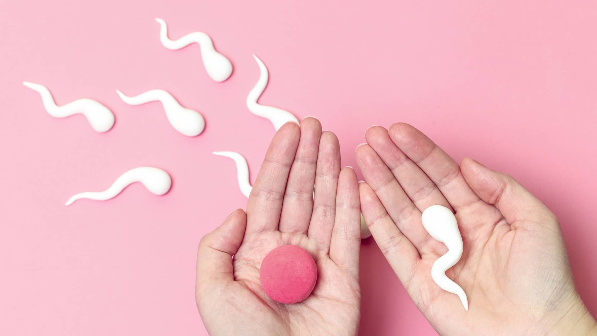 Dos manos sujetando un espermatozoide y un ovulo para representar las ventajas y las desventajas de la inseminación artificial