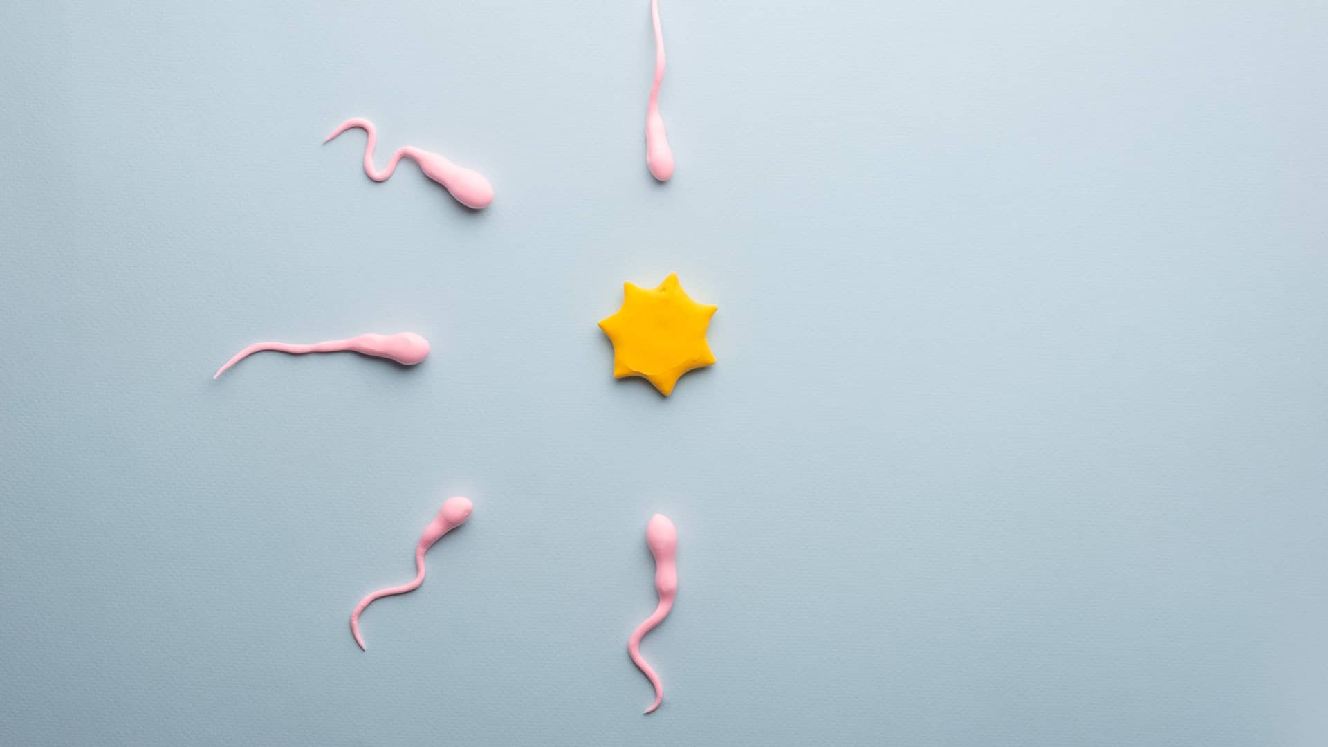 Representación con plastilina de un ovulo y unos espermatozoides para representar el precio de los tratamientos de fertilidad
