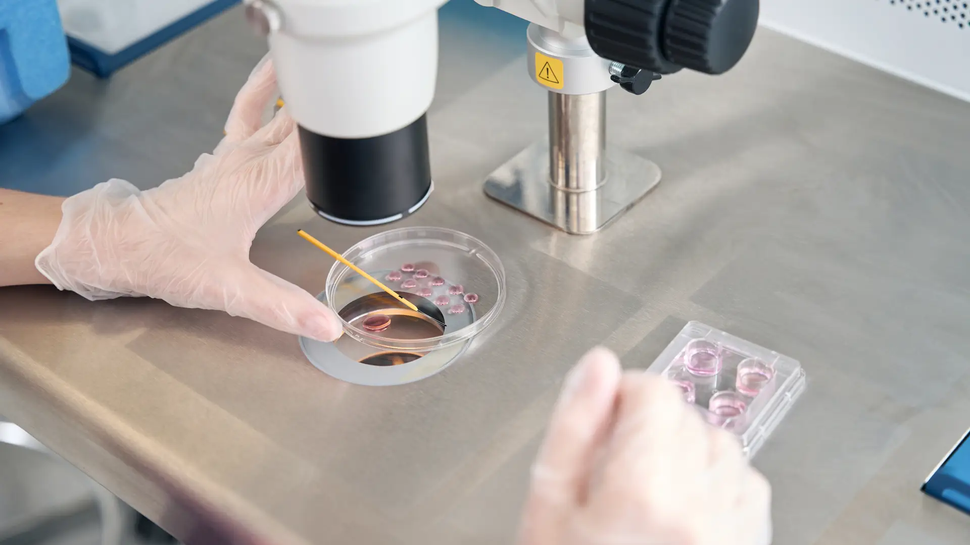 Auxiliar de laboratorio trabajando en un proceso de vitrifiación de embriones