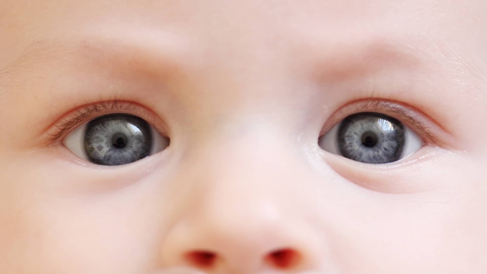mirada de un bebe con los ojos de color gris